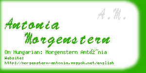 antonia morgenstern business card